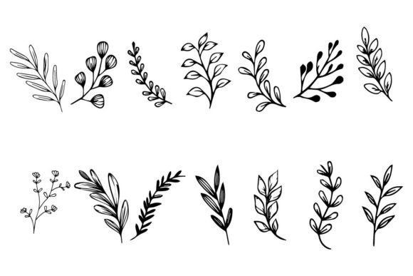 Download Botanical Leaf Wildflower Line Art - Line art Collection